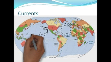 PADI Instructor Development Course Skills and the environment theory exam