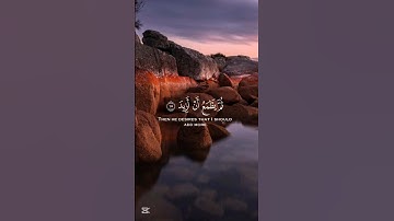 ذرني ومن خلقت وحيدا وجعلت له مالا ممدودا _ عبد الله الخلف سورة المدثر