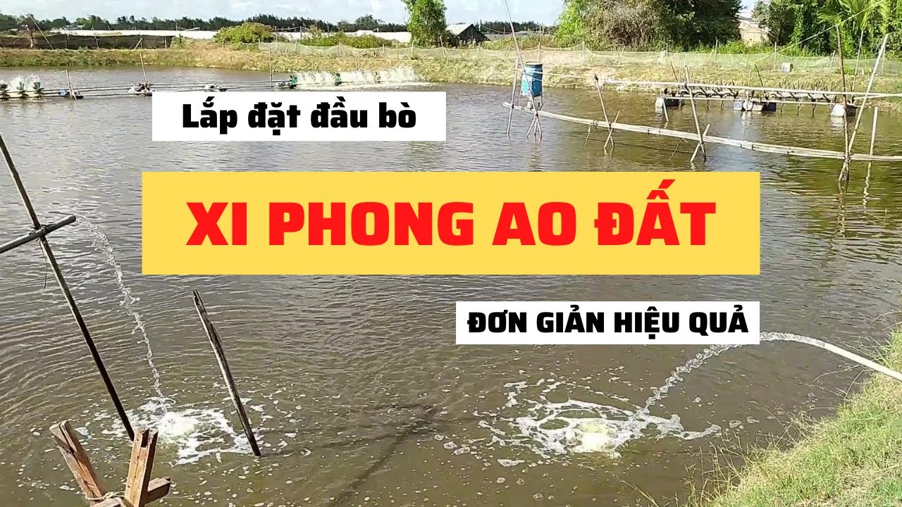 Cách Lắp Đặt Hút Xi Phông Bằng Đầu Hút Motor Bảo Long 3HP 1 Pha | Ngô Quốc Khánh