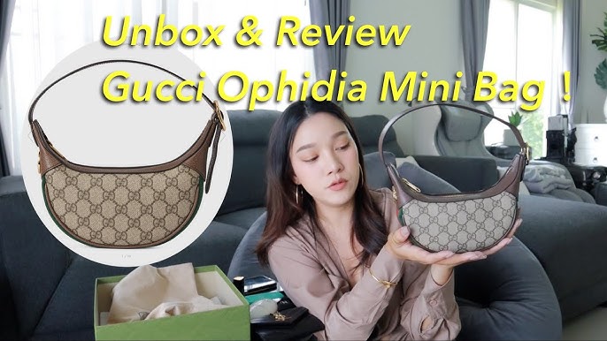 LV Pochette Accessoires vs Gucci Ophidia GG Mini Bag (Comparison + Review)  