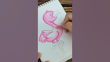 Drawing Flamingo