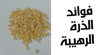 فوائد الذرة محمد الفايد يوتيوب