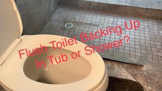 Flush Toilet Backing Up in Shower or Tub / Fix Fast & Easy