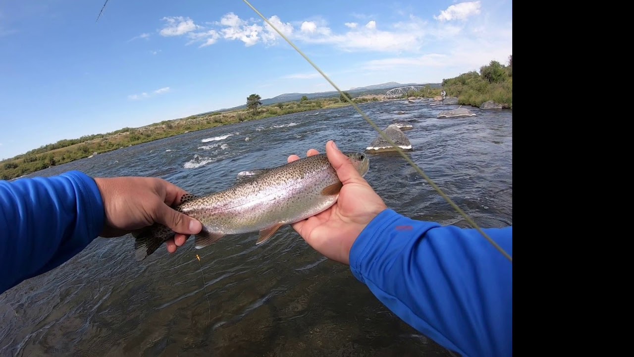 2020 Idaho and Montana Fly Fishing Trip with Trouthunter Guides