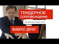 Тендерное сопровождение: Обман или рабочий инструмент? Госзакупки / Тендер