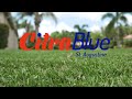 Valencia Palms Makes the Change to CitraBlue® St. Augustine