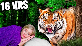 Living in a GIANT ZOO for 24 Hours!  Challenge