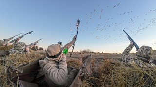 Download Lagu Bow vs Shotgun Snow Goose Hunting Challenge! MP3
