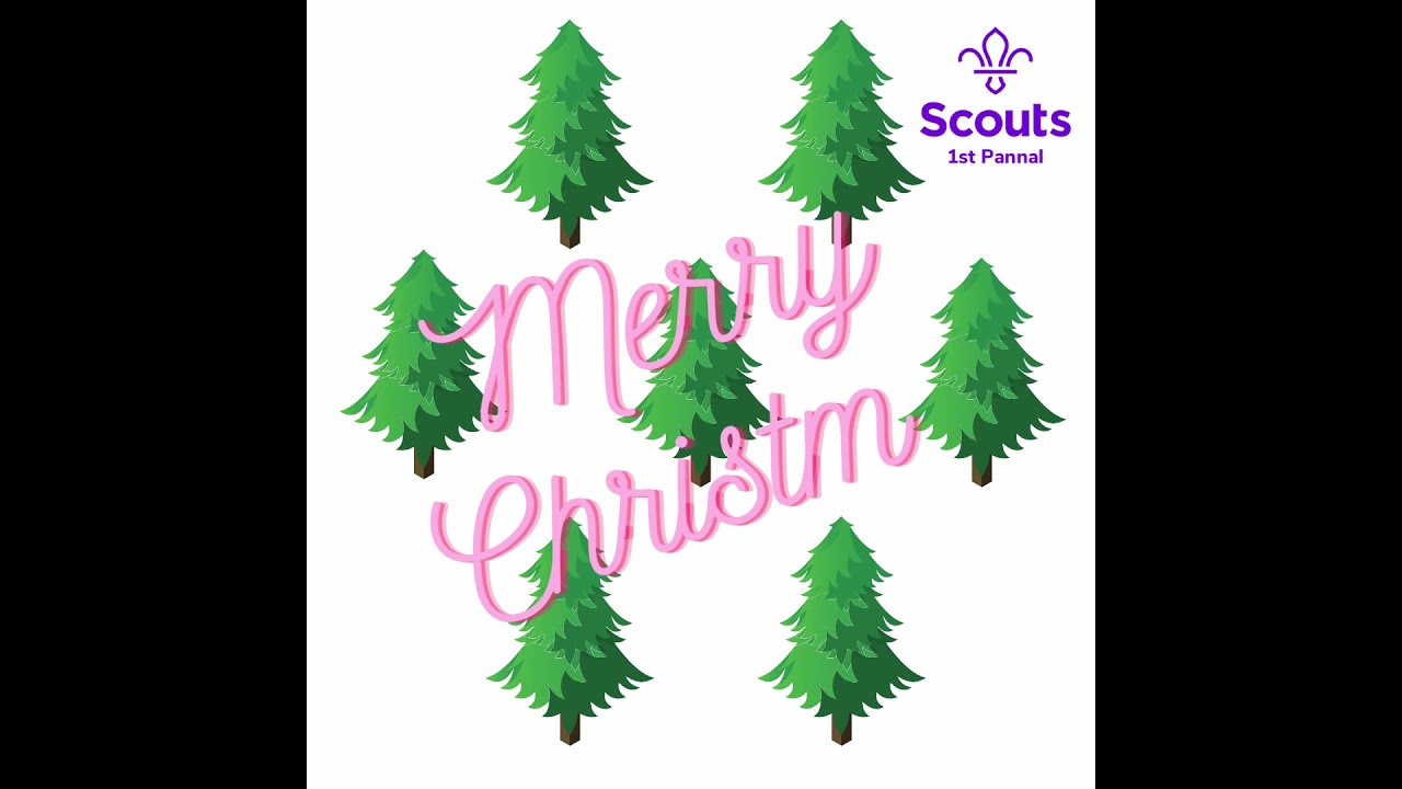 Christmas Tree Pickup 2022 YouTube