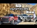 Anza Borrego -  San Diego Raptor Run