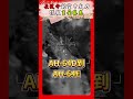 最致命的空中火力 獵殺畫面曝光 #shorts #AH64 #阿帕契 #直升機 #獵殺 #美國 #施孝瑋 #軍武大觀 #Smartnews