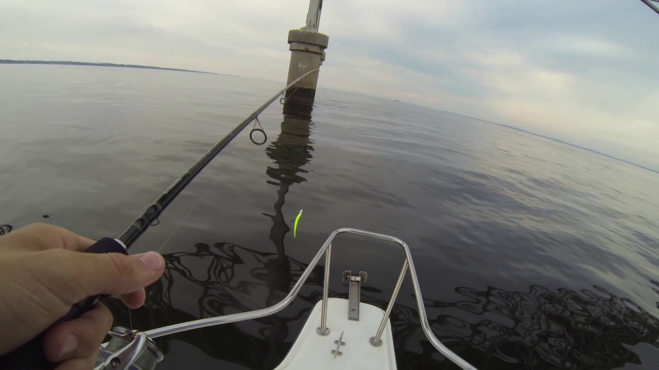 Late Spring Light Tackle Jigging at the Chesapeake Bay Bridge 2017