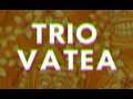 TRIO VATEA Medley ZOUKLOVE I3 Nostalgie - you