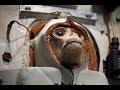 Nazi Rocket Monkeys - The First Astronauts