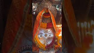May 19, 2026 Morning Darshan Jai Kalka Maa