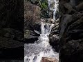 Just go with the flow 😱 #shorts #youtubeshorts #waterfall