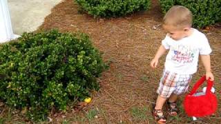 Caleb's FIRST Easter Egg gathering
