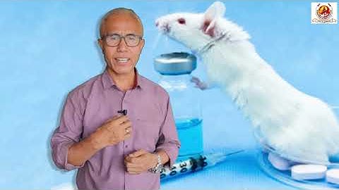 S 029 Drug Discovery and Feature Selection for QSAR  Part one