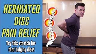 Pain Relief For Herniated Disc (Bulging Disc) by Dr. James Vegher 19,644 views 6 years ago 8 minutes, 18 seconds