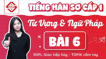 BÀI 6 TỪ VỰNG - NGỮ PHÁP TIẾNG HÀN TỔNG HỢP SƠ CẤP 1 | HỌC TIẾNG HÀN ONLINE