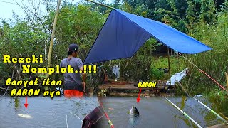 Dapat banyak ikan BESAR BESAR lagi spot mancing pinggiran mancing Cirata terbaru..!!!