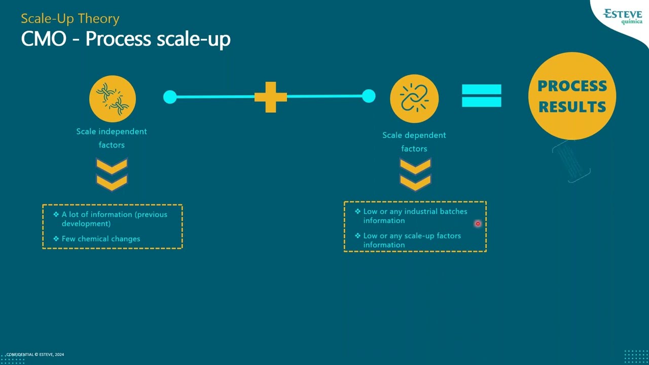 Process scale up in CMO business – Pharma Industry Feb 2024