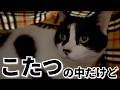 【ねこ動画】こたつの中だけど……。