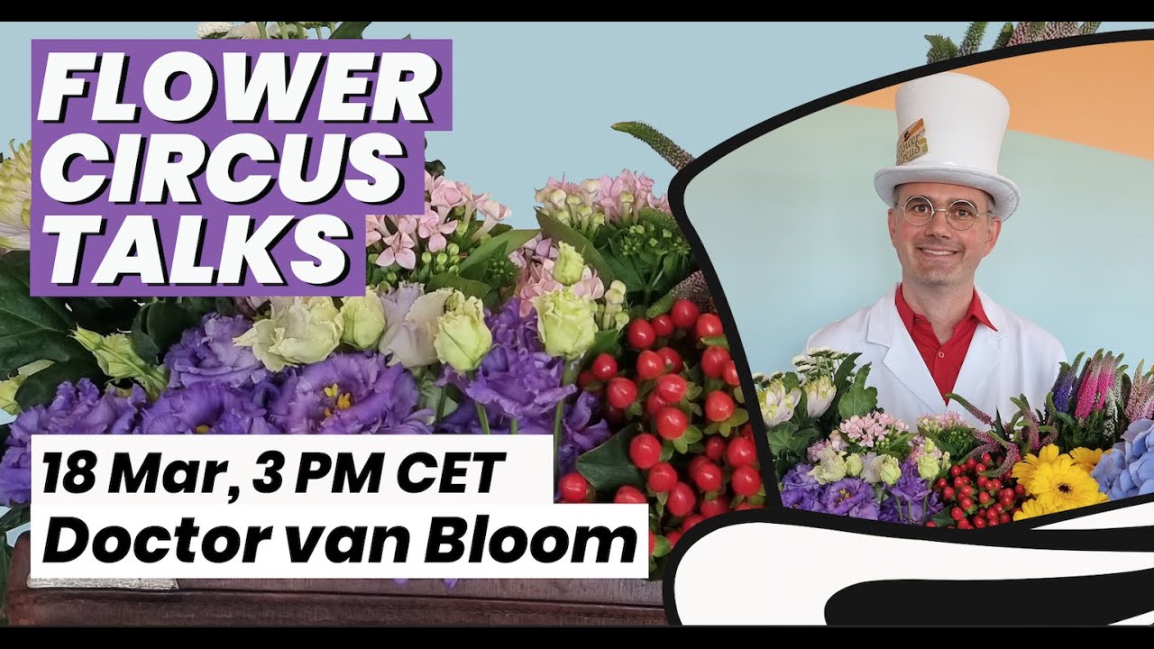 Talks: Dr van Bloom