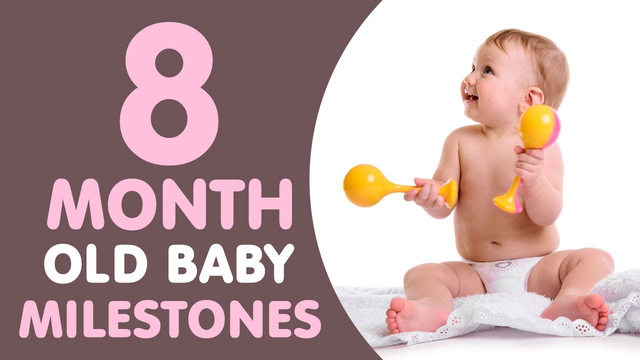 8th month baby development