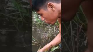 Catch a very big fish primitive fish fishing