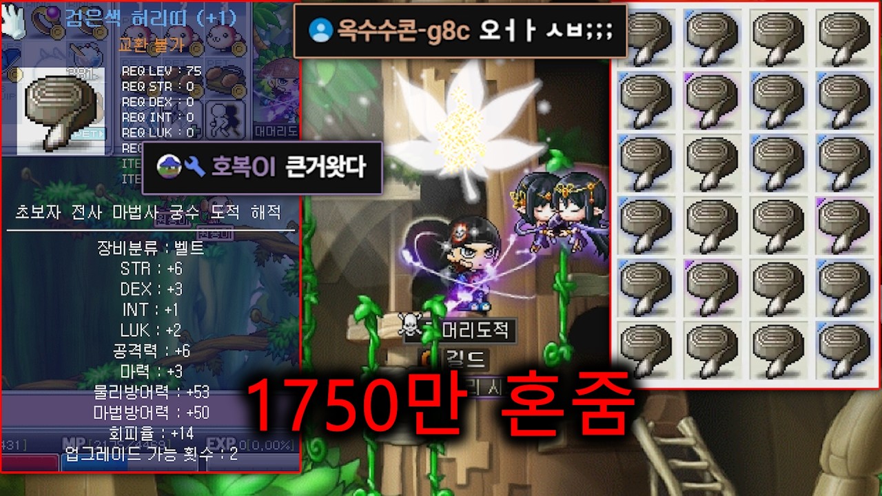 미친 성공을 해버린 혼돈주문서 다크게이머