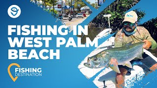 Fishing in West Palm Beach Florida: The Ultimate Guide