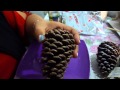 DIY; Â¿Como Hacer adornos navideños con piñas? 2014.