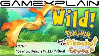 How to Catch Wild LEGENDARY Pokémon in Let's Go Pikachu \& Eevee (Articuno, Zapdos, \& Moltres Guide)