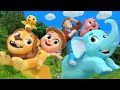 Wild Animal Farm Old MacDonald Song More Funny Nursery Rhymes Kids Songs 