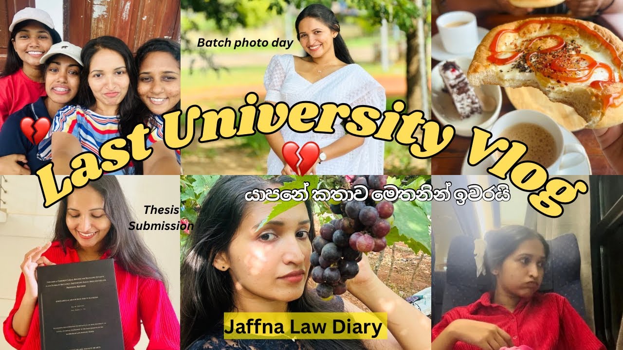 Jaffna අන්තිම සතියෙ මොකද වුණේ❓මෙච්චර අඩුවට මිදි😱🍇 දාලා යන්න අමාරු දේවල්🥺 තනියම කොළඹට🚂 #lawstudent 