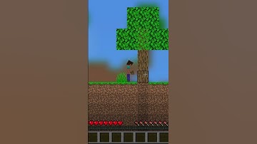 What Happens if the Screen isn