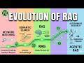 Evolution of RAG