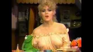 Video thumbnail of "Muppets - Bernadette Peters - Just One Person"