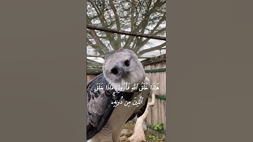 سورة لقمان ⁦الاية 11 بصوت الشيخ محمد صديق المنشاوي