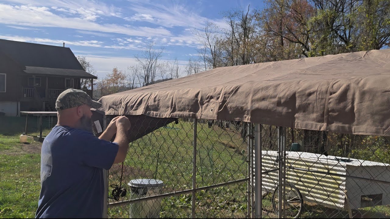 Investing in Durability: Upgrading Our Chicken Run with Heavy-Duty Canvas and Rope Tie-Downs.