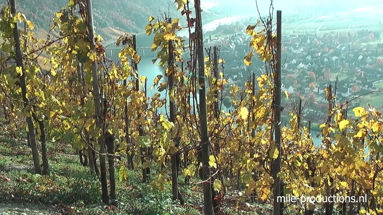 Bungalowpark Landal Mont Royal