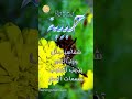ابيات شعر باسم حبيبة