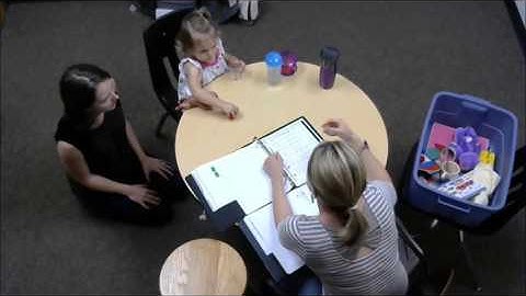 Bayley example: receptive language part 2