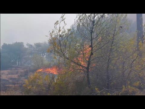 φωτιά στο Λουτράκι