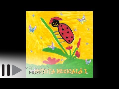 Cutiuta Muzicala 3 - Malina Olinescu - Animalele