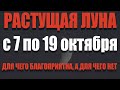 Растущая Луна в октябре 2021 года - для чего благоприятно это время