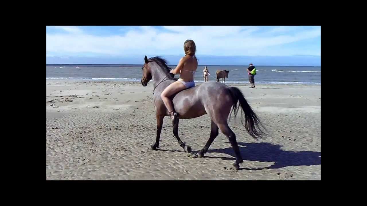 15 aout 2013 plage avec nos amis les belges et Myrtille