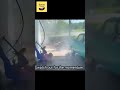 funny videos of the world 56 #shorts #funny #meme