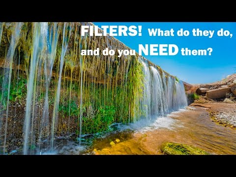 Polarizer
